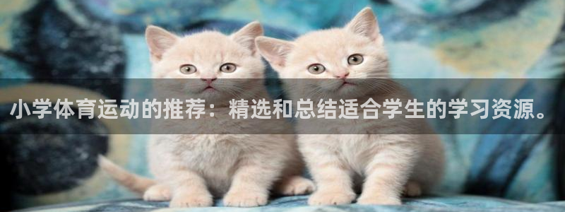 77体育官网：小学体育运动的推荐：精选和总结适合学生的学习资源。