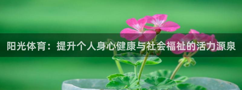 77体育官网：阳光体育：提升个人身心健康与社会福祉的活力源泉