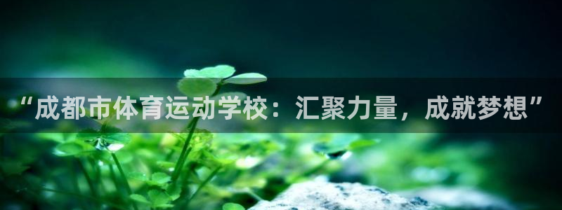 77体育：“成都市体育运动学校：汇聚力量，成就梦想”