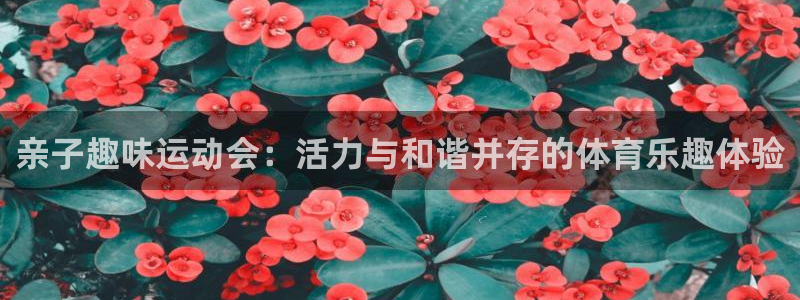 77体育官网：亲子趣味运动会：活力与和谐并存的体育乐趣体验