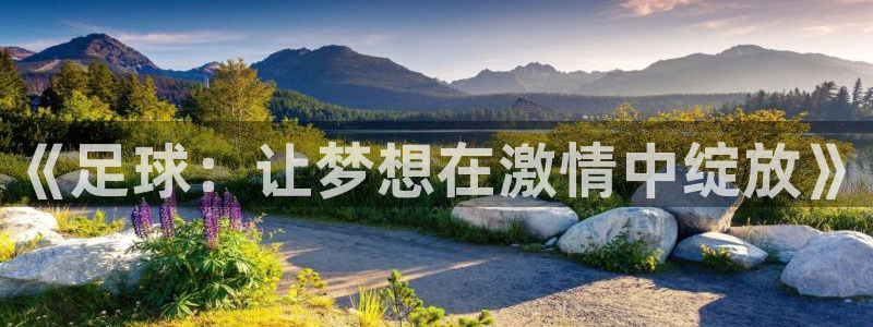 77体育：《足球：让梦想在激情中绽放》