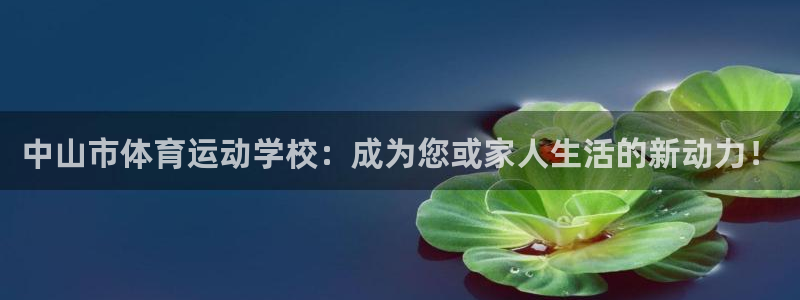 77体育app下载官网：中山市体育运动学校：成为您或家人生活的新动力！