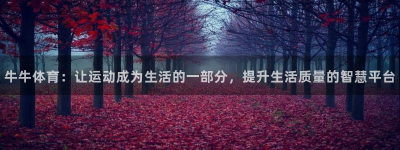 皇冠277体育：牛牛体育：让运动成为生活的一部分，提升生活质量的智慧平台