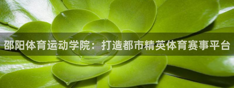 77体育app下载官网：邵阳体育运动学院：打造都市精英体育赛事平台