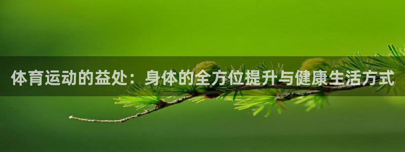 77体育官网：体育运动的益处：身体的全方位提升与健康生活方式